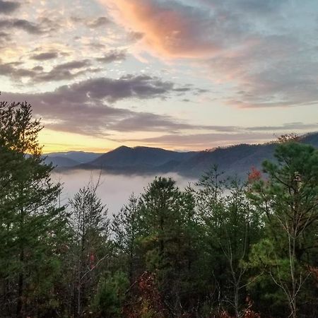 Lazy Bear Lodge Sevierville Exterior photo
